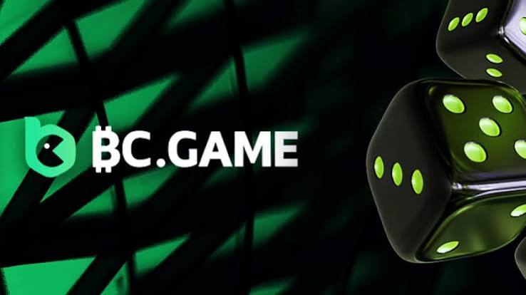 Understanding the BC.Game Login Process 941708224